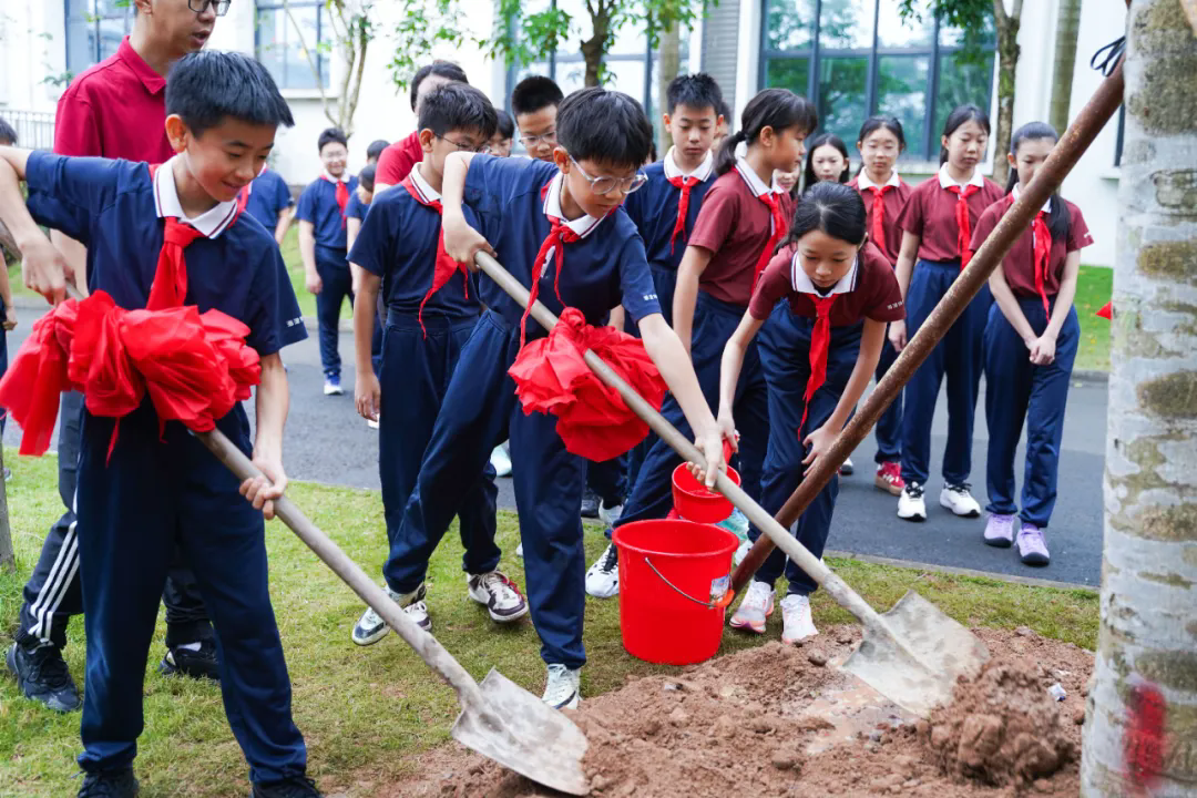 编程大赛、国际数学获奖、植树节、探校团、周末兴趣课………